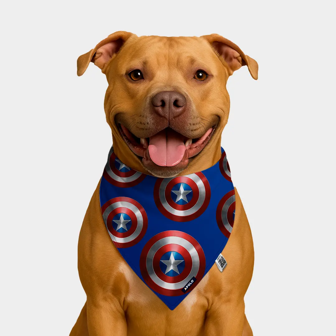 Pañoleta Apolo Capitan America Clasica con QR 2025