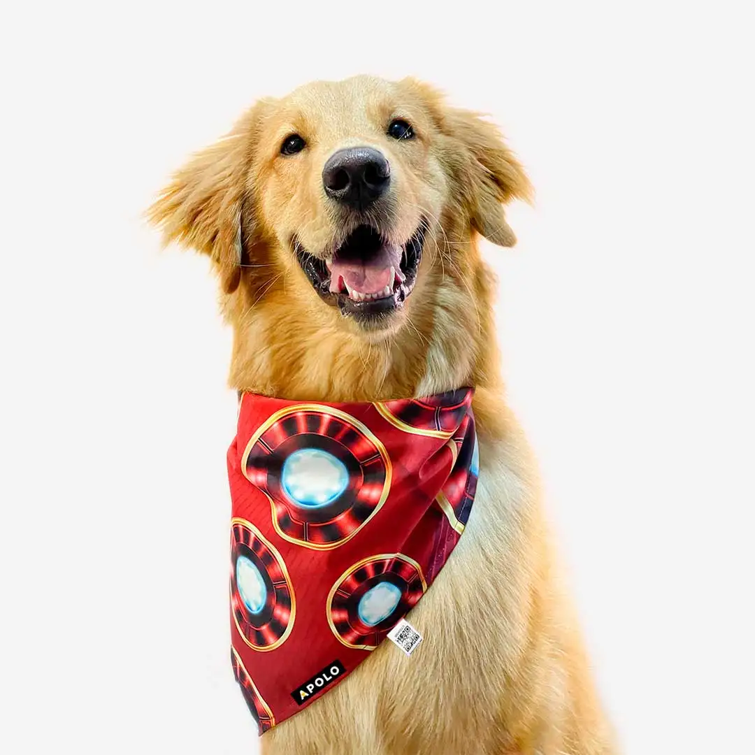 Pañoleta para perro con QR
