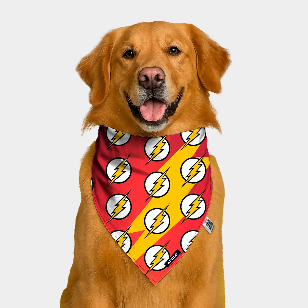 Pañoleta Apolo Flash con QR 2025