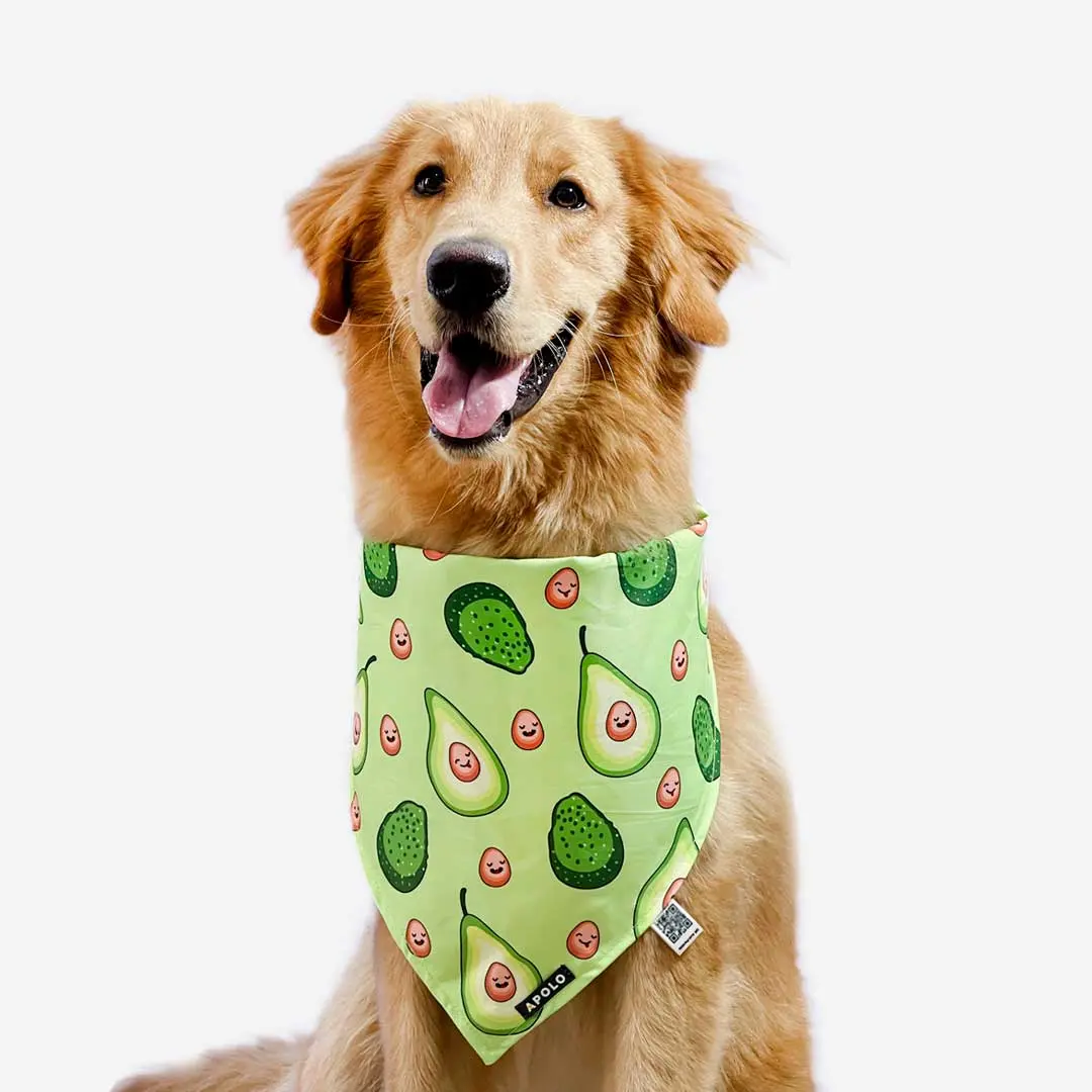 Pañoletas para perros apolo con QR aguacate