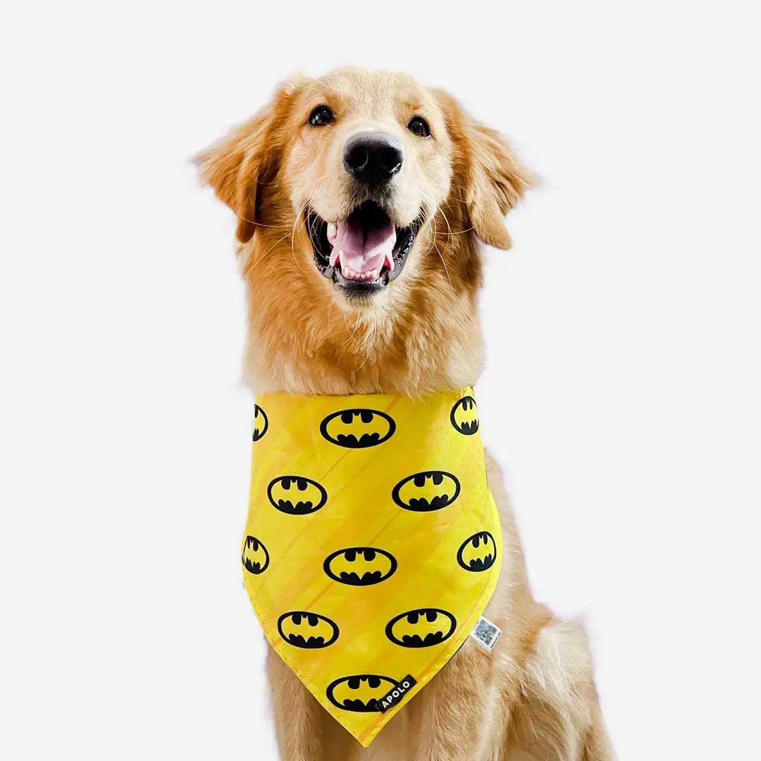 Pañoletas para perros apolo con QR Batman