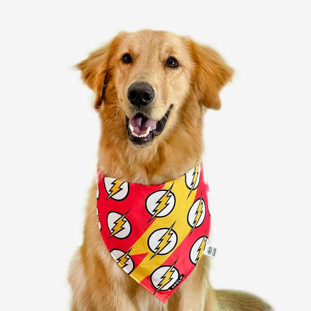 Pañoletas para perros apolo con QR flash