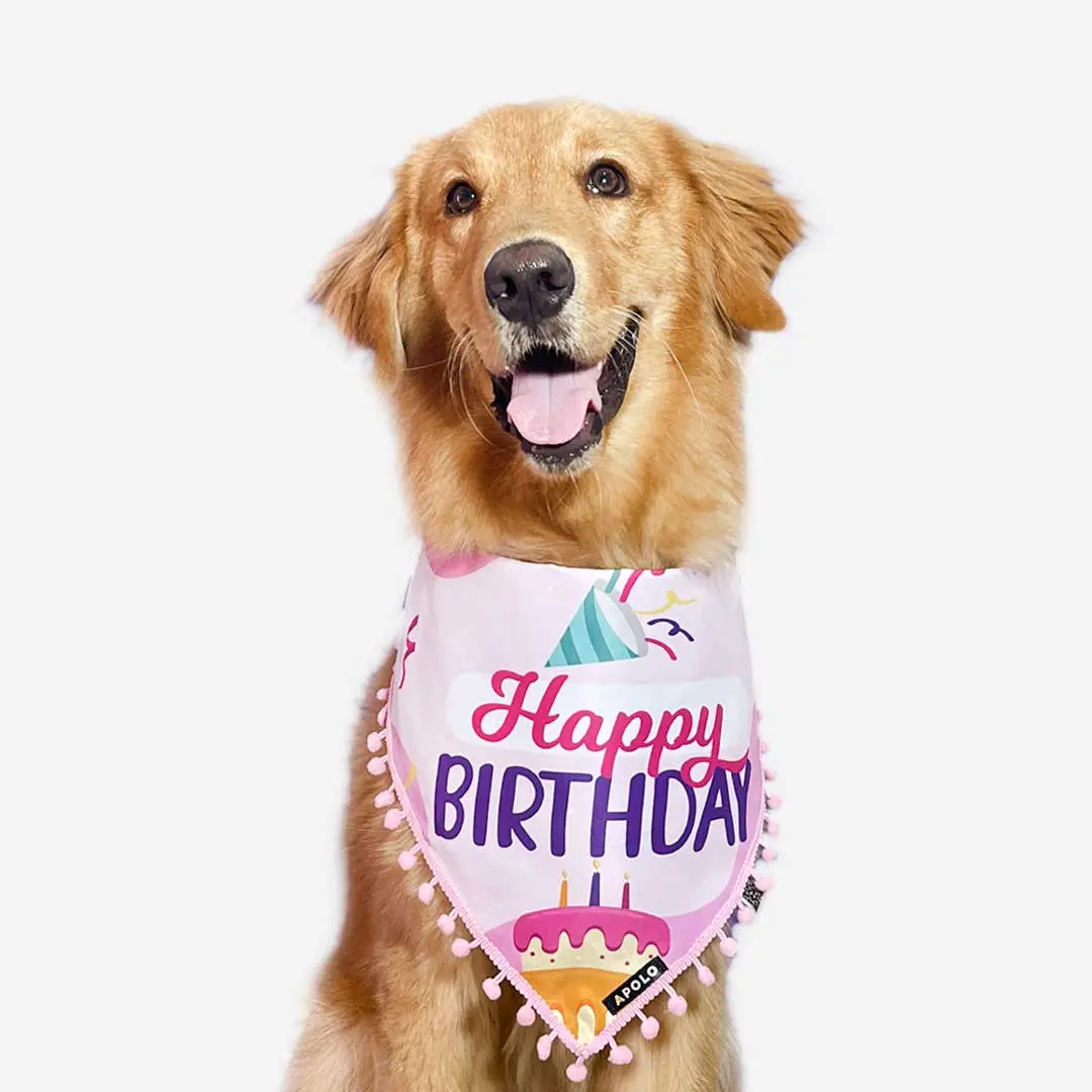 Pañoletas para perros apolo con QRcumpleaños doble faz