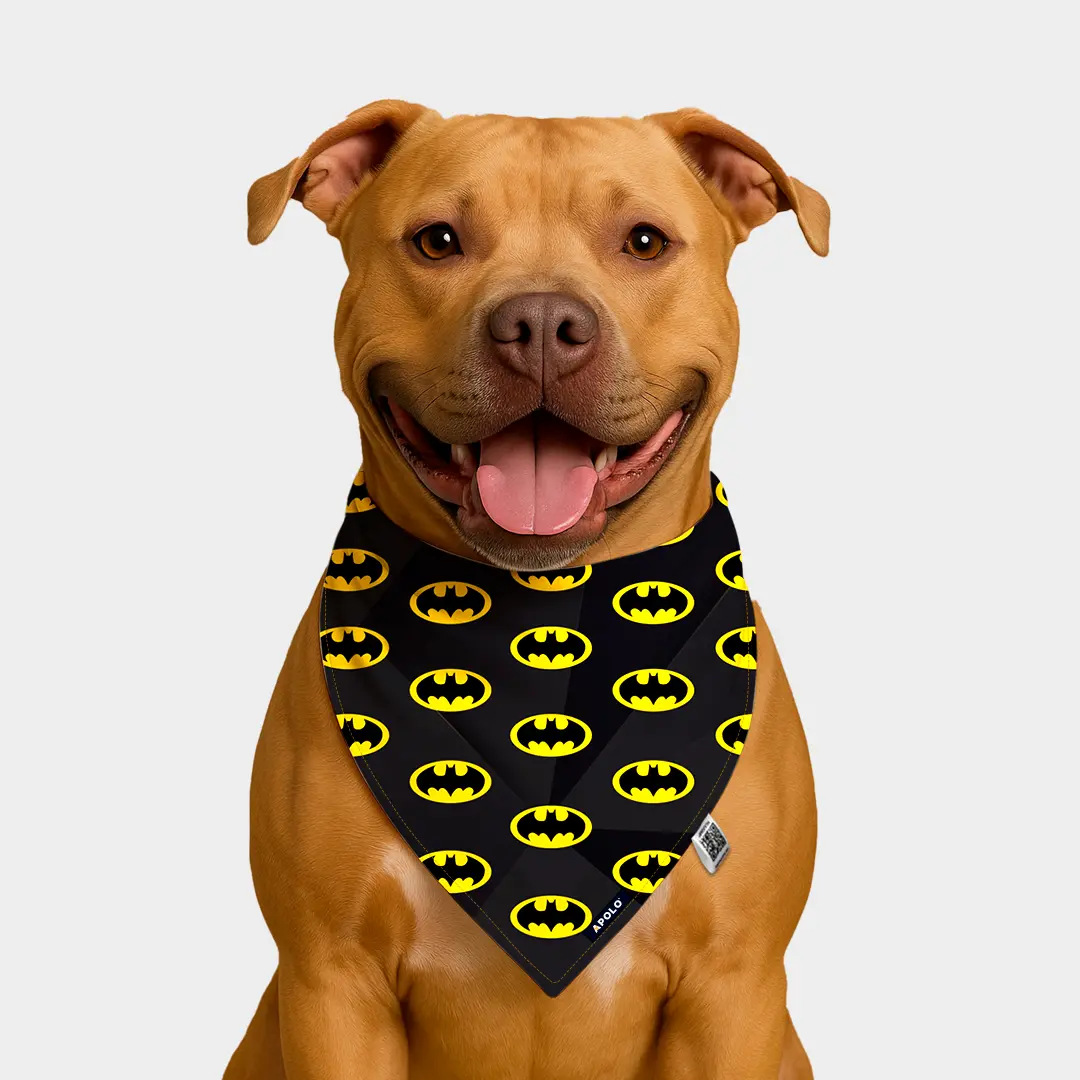 Pañoleta Apolo Batman Black con QR 2025