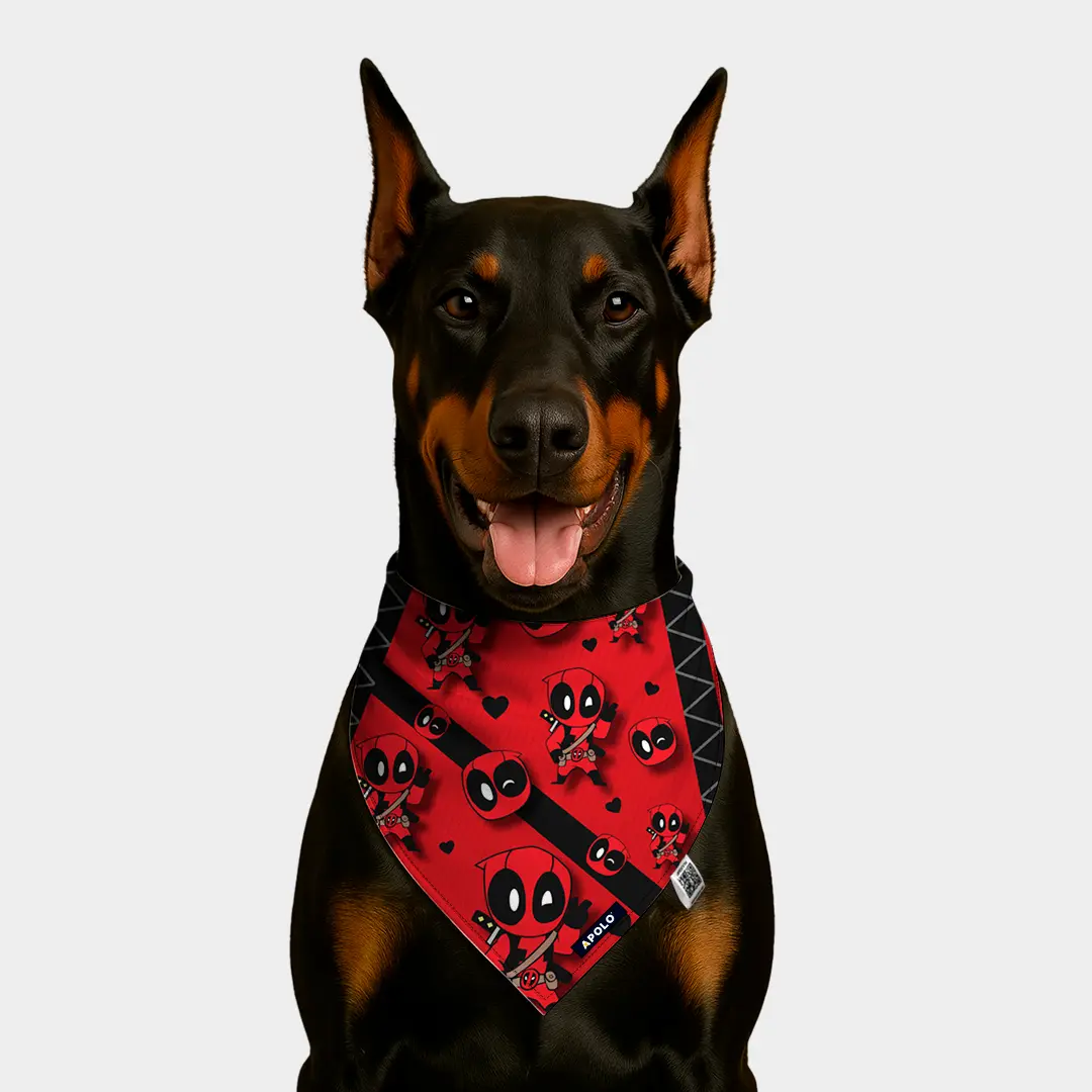 Pañoleta Apolo Deadpool con QR 2025