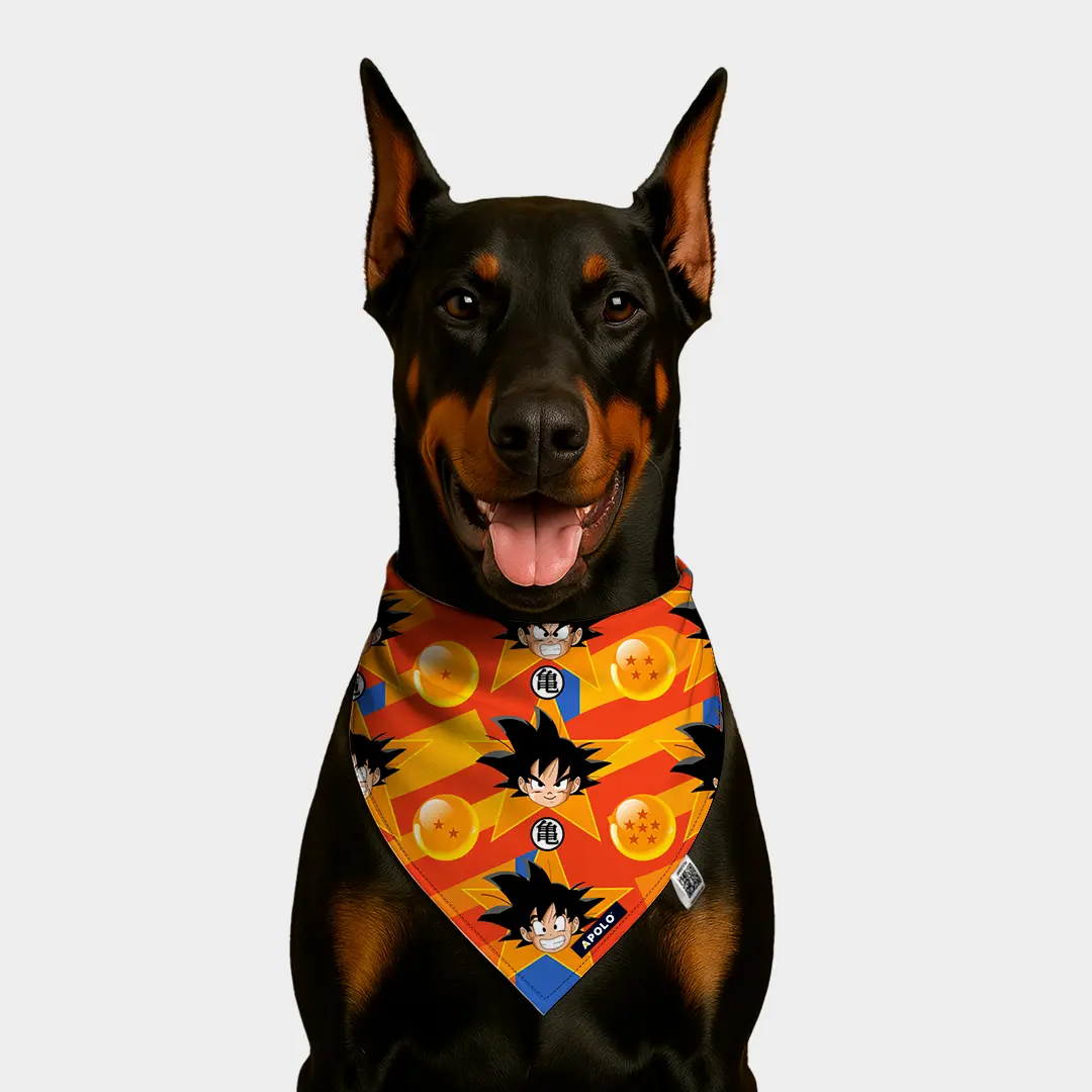 Pañoleta-Apolo-Goku-con-QR-2025_