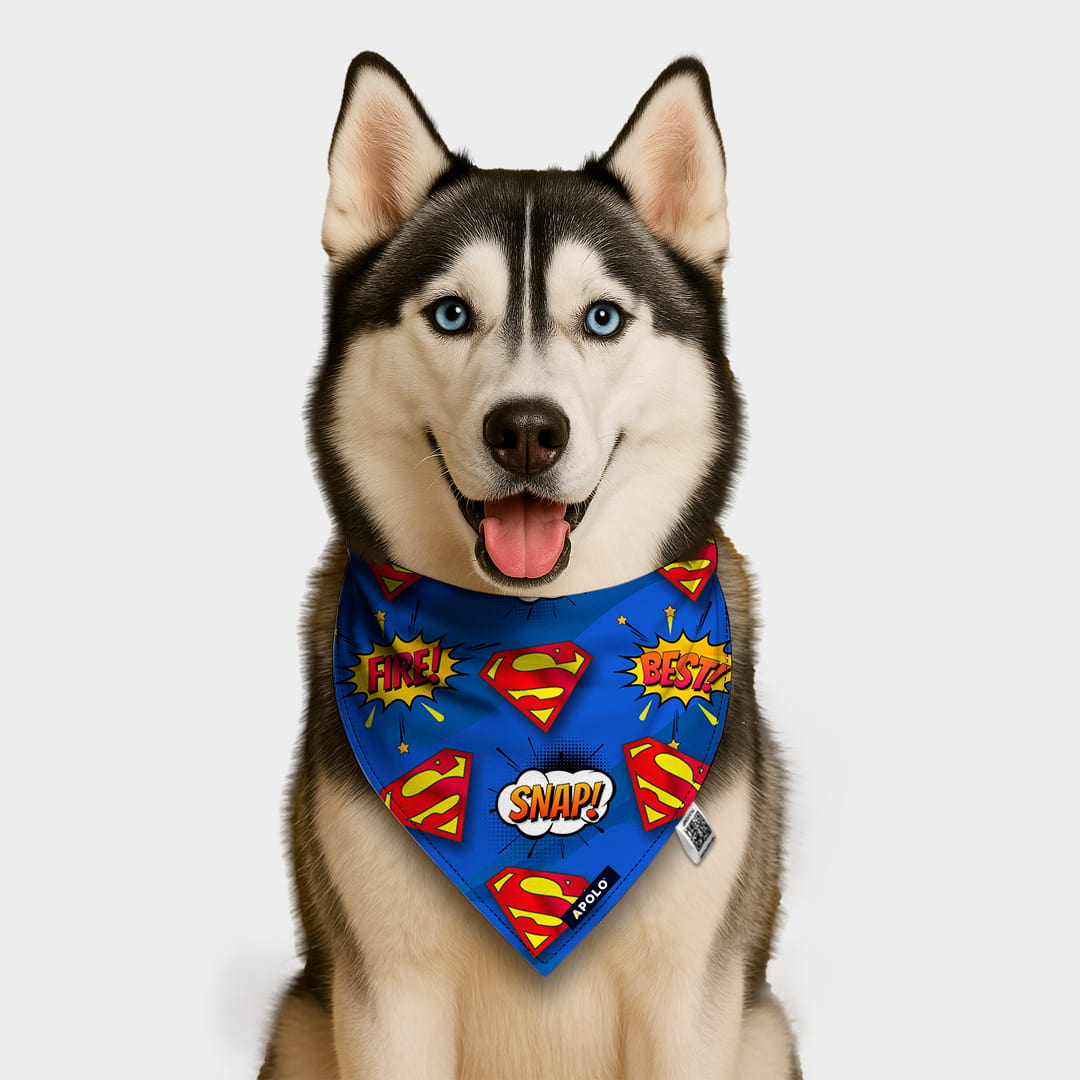 Pañoleta Apolo Super man con QR