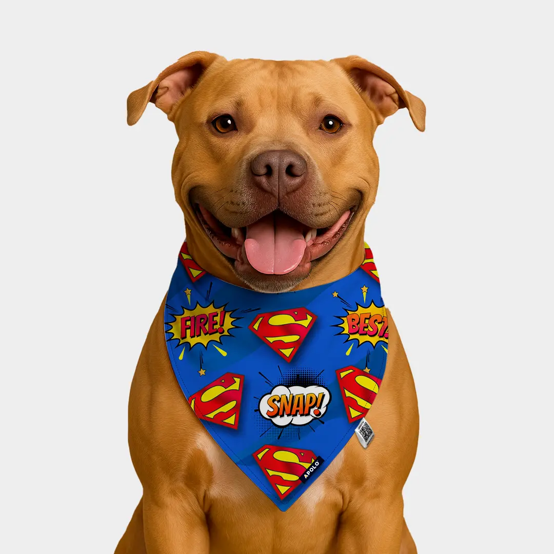 Pañoleta Apolo superman con QR 2025