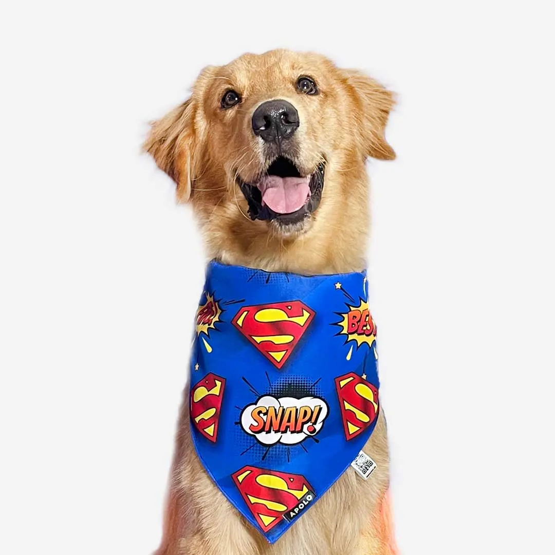 Pañoleta Apolo para perro Superman