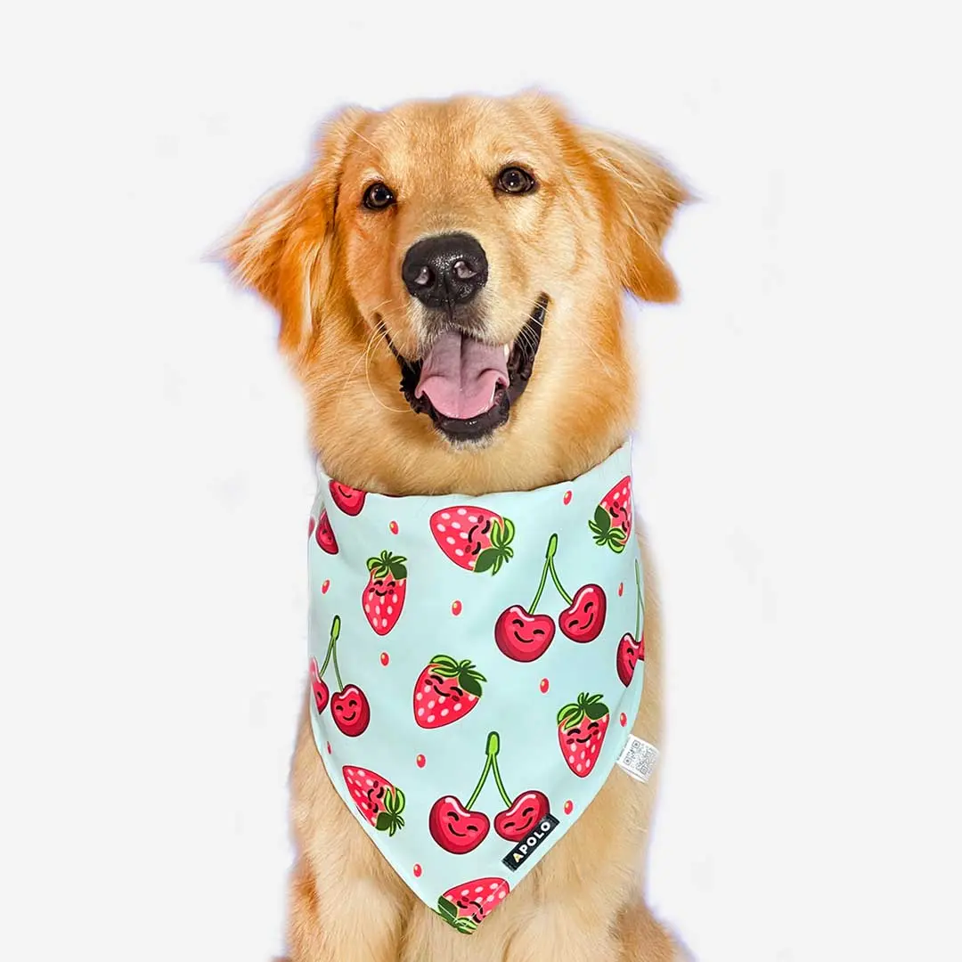 Pañoleta para perros con QR Frutos rojos cereza