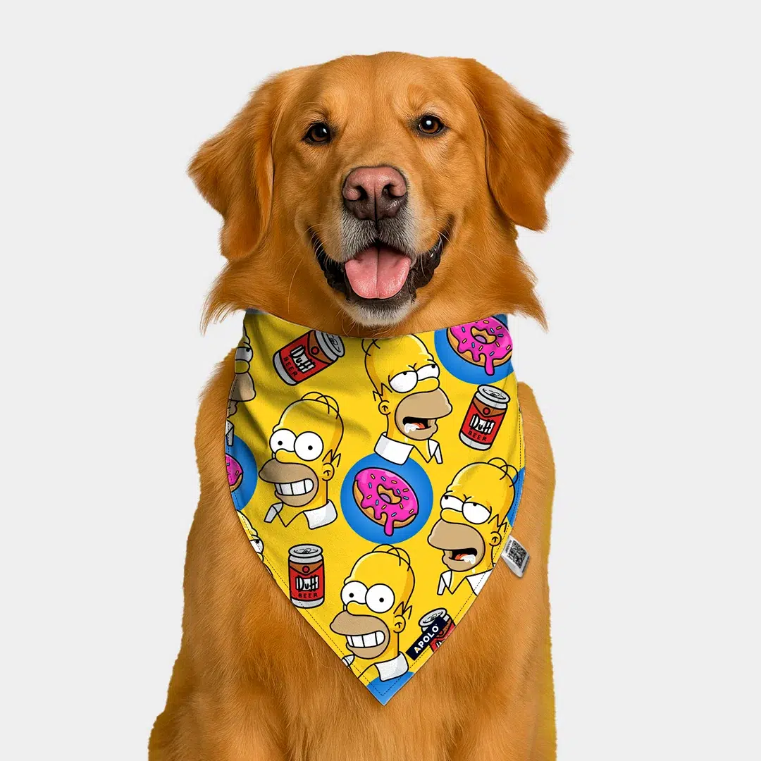 Pañoleta Apolo homero con QR 2025