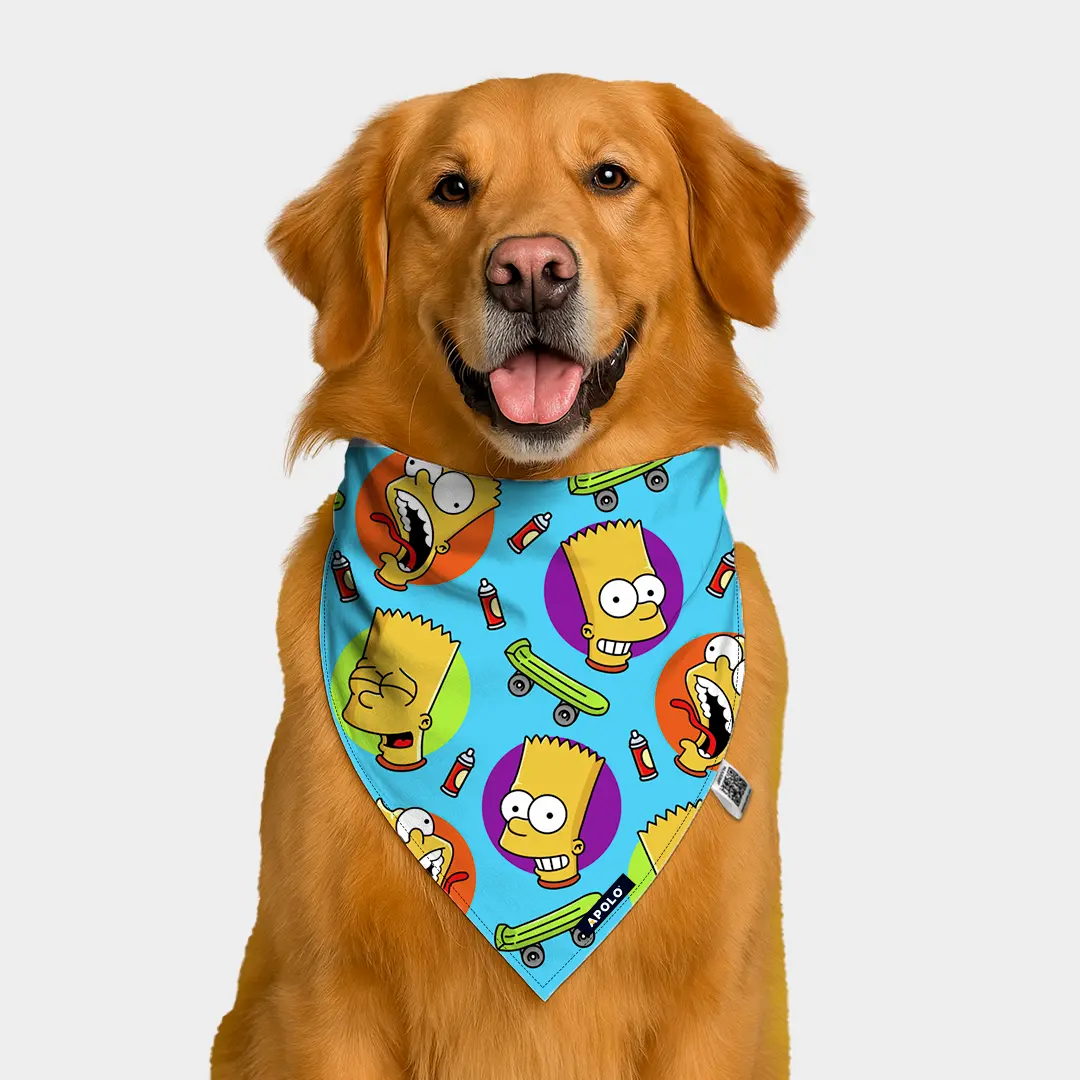 Pañoleta Apolo Bart Simpson con QR 2025
