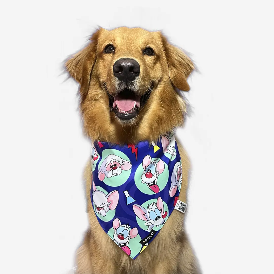 Pañoletas para perro con QR pinky y cerebro