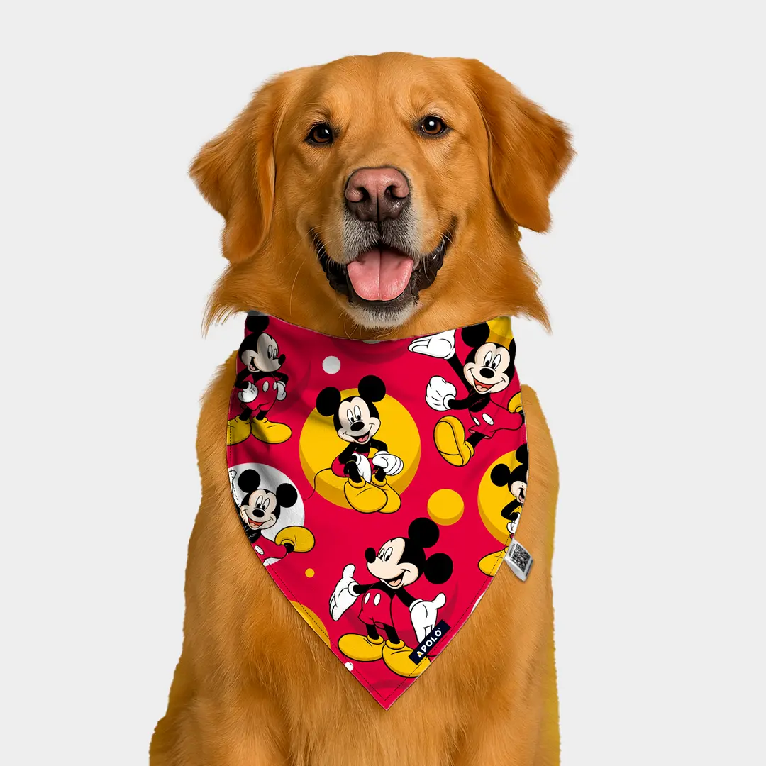 Pañoleta Apolo Mickey Mouse con QR 2025