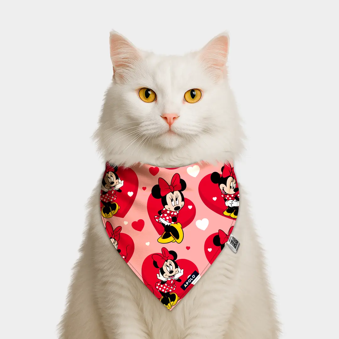 Pañoleta Apolo Mini Mouse con QR 2025