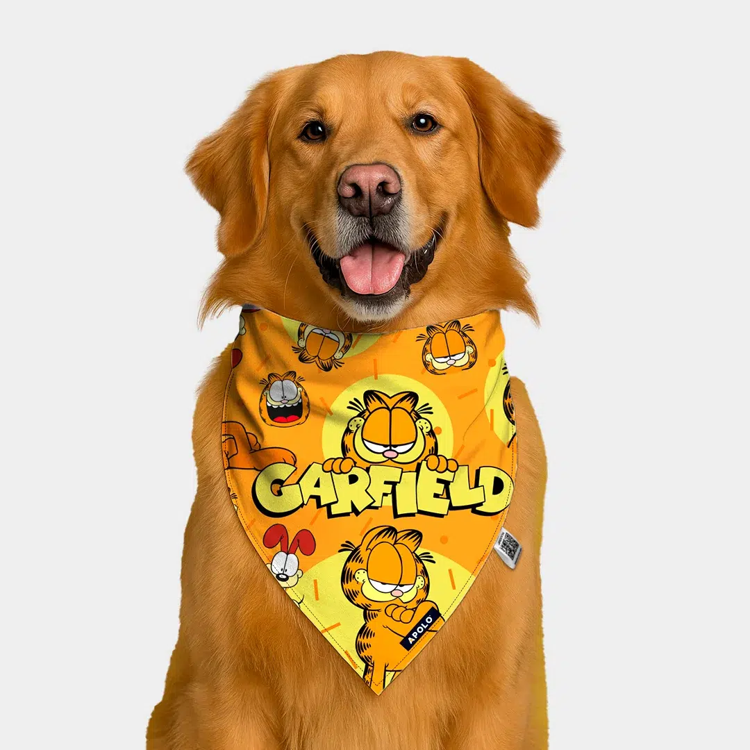 Pañoleta Apolo Garfield con QR 2025