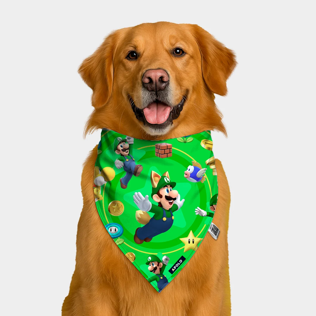 Pañoleta Apolo Luigi con QR 2025