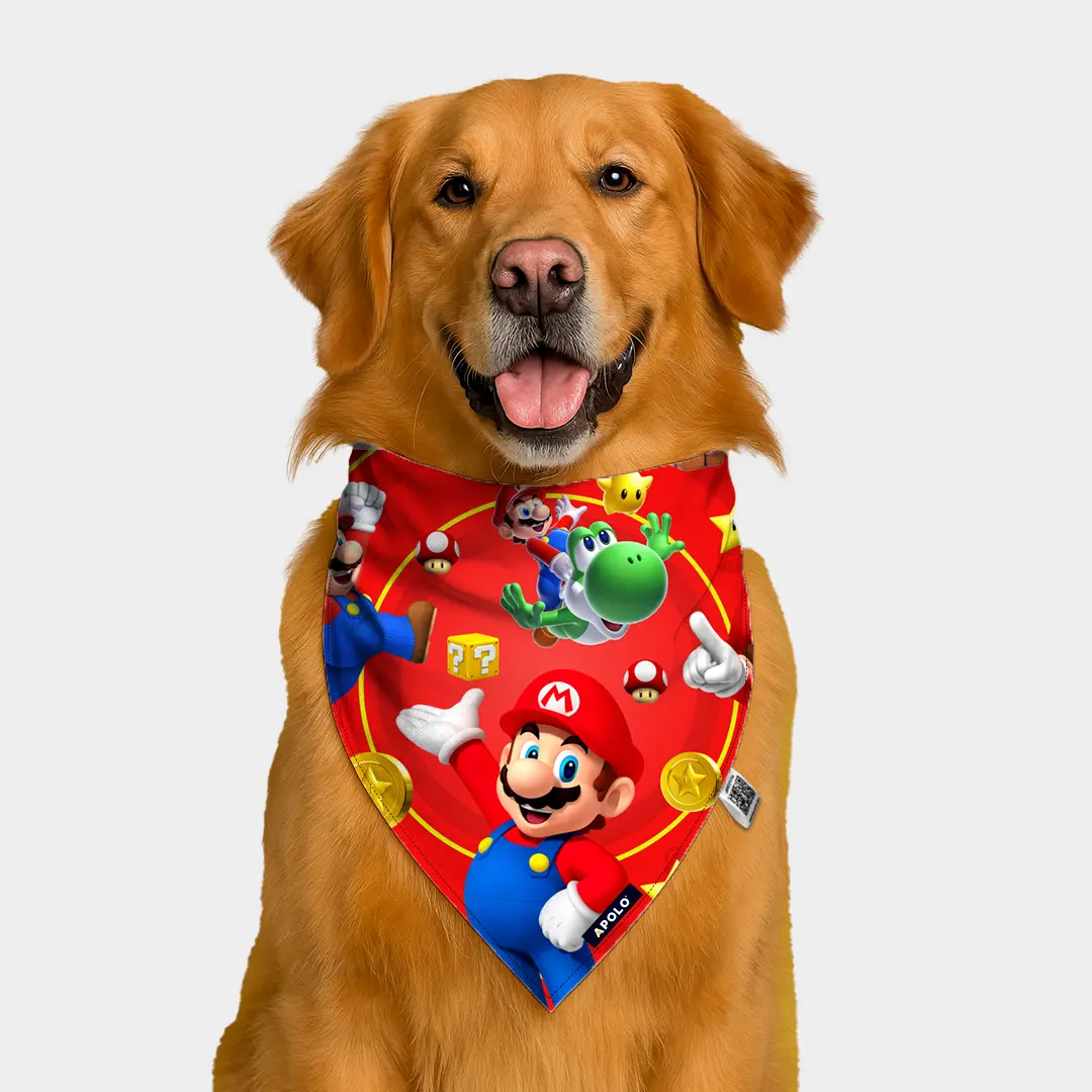 Pañoleta Apolo mario bross con QR 2025
