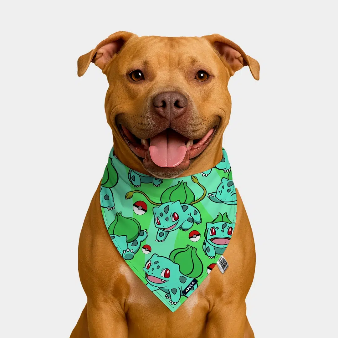 Pañoleta Apolo Bulbasaur con QR 2025