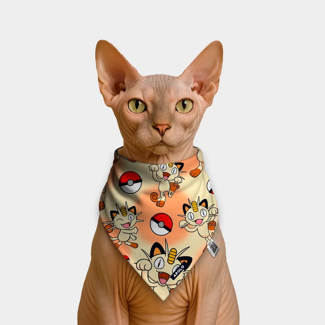 Pañoleta Apolo Meowth con QR 2025