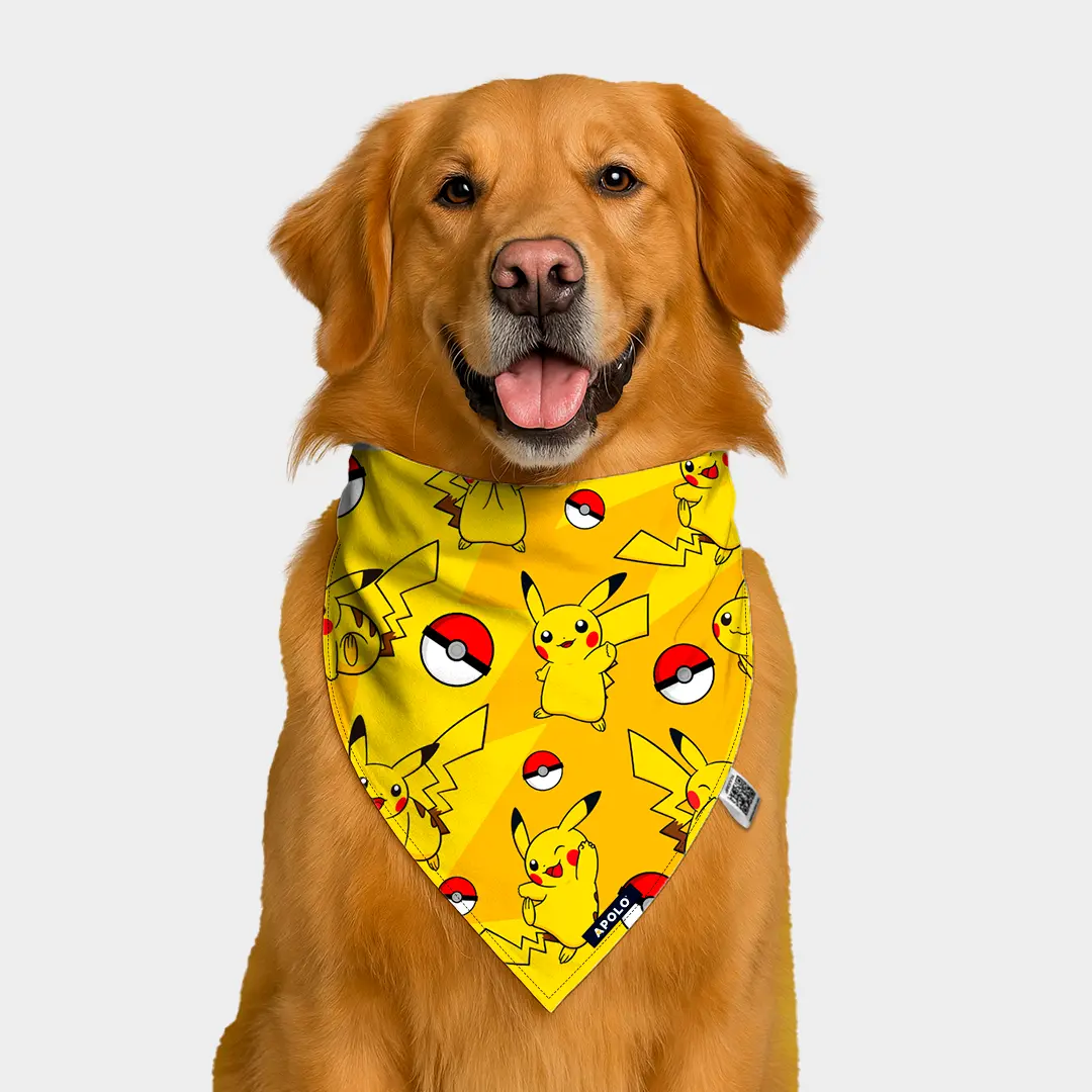 Pañoleta Apolo Picachu con QR 2025