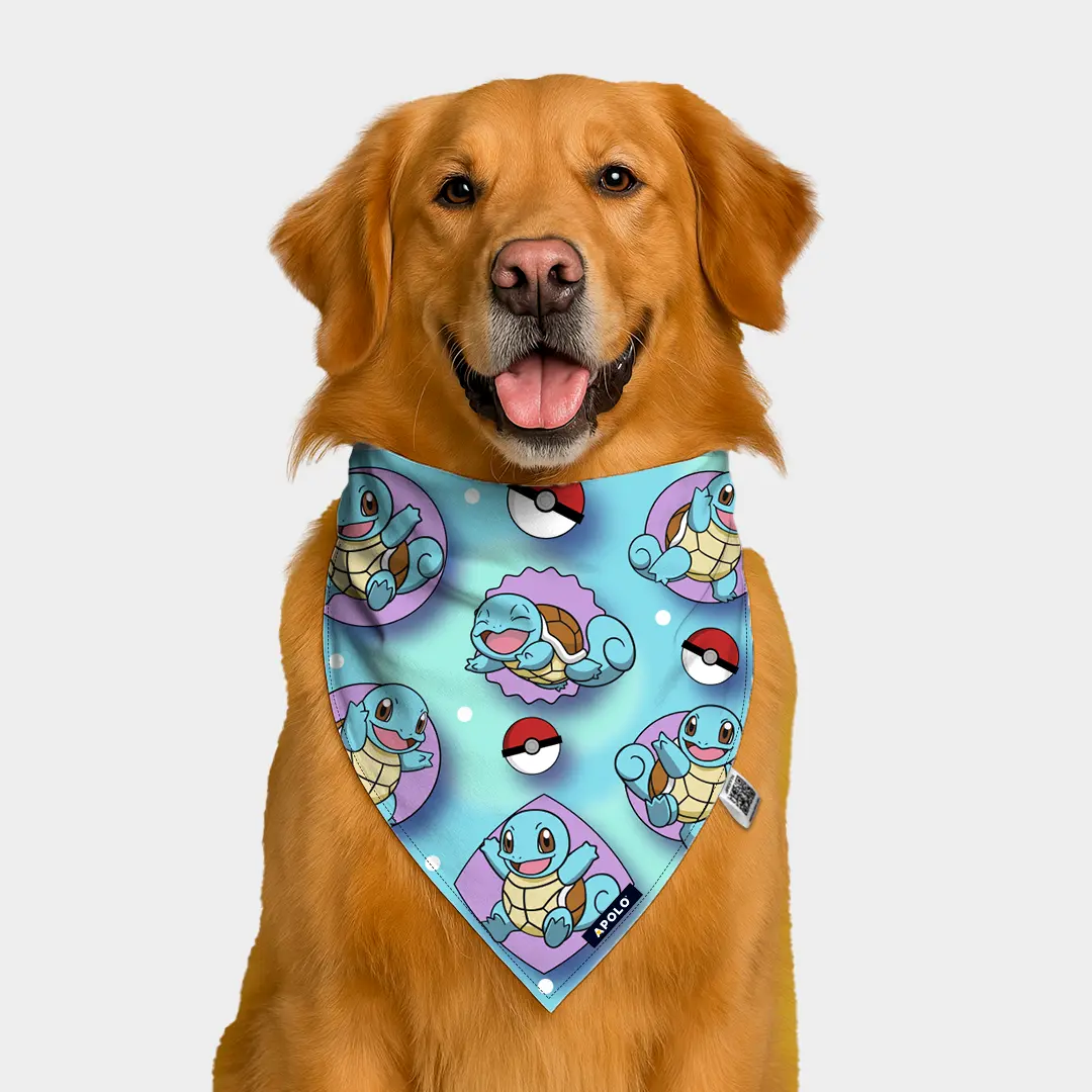 Pañoleta Apolo Squirtle con QR 2025