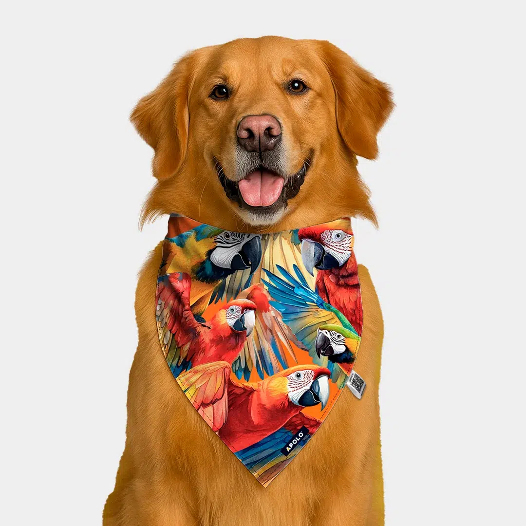 Pañoleta Apolo Guacamaya con QR 2025