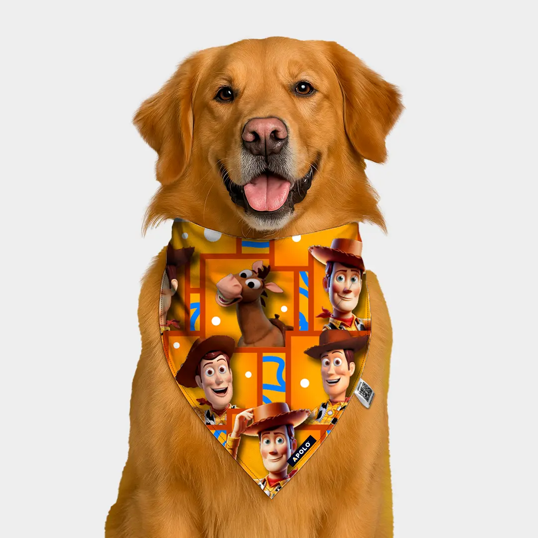 Pañoleta Apolo Woody con QR 2025