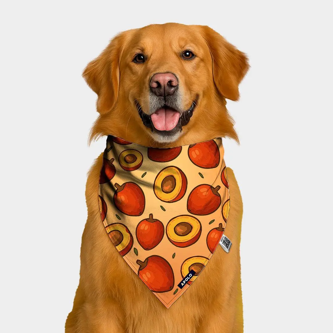 Pañoleta para mascotas Chontaduro