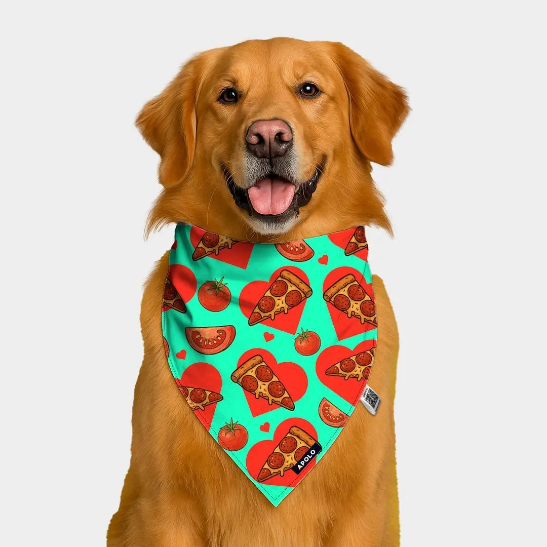 Pañoleta para mascotas Pizza