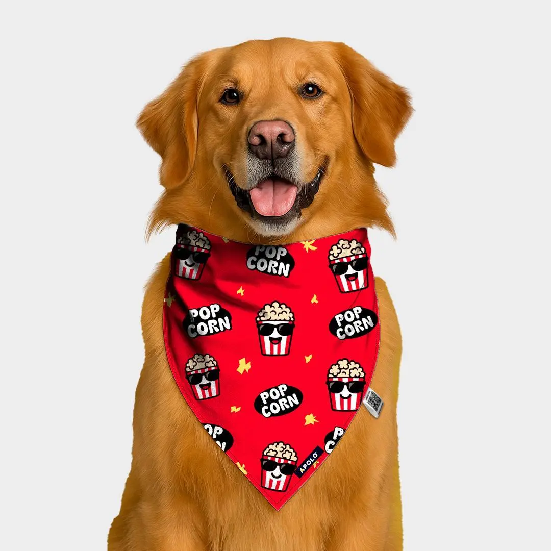 Pañoleta para mascotas Pop Corn