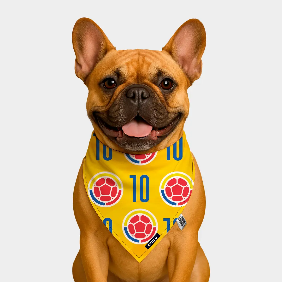 Pañoleta para mascotas Selección Colombia